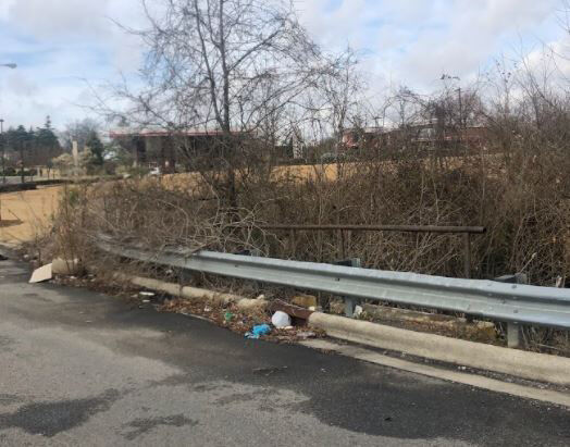 Trashy roadside